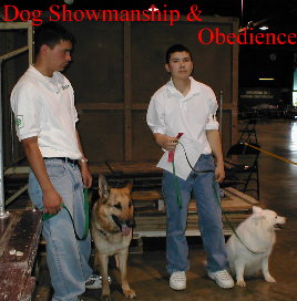 Dog Showmanship & Obedience