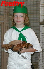 Poultry Showmanship