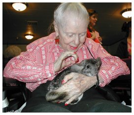 chinchillas are so soft